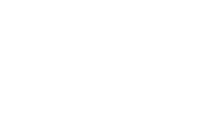 Swart Foundation