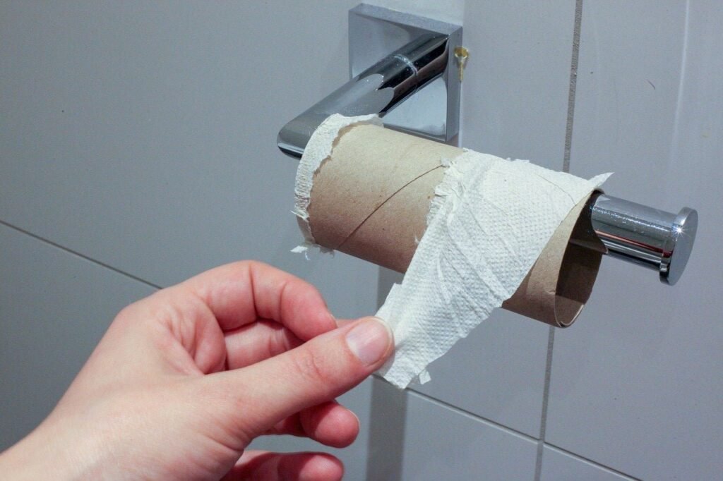Rolls of toilet paper